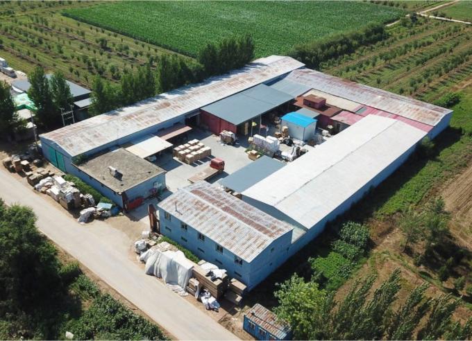 Good Grade Coil Nails for Pallet, Construction, Decoration, Packaging